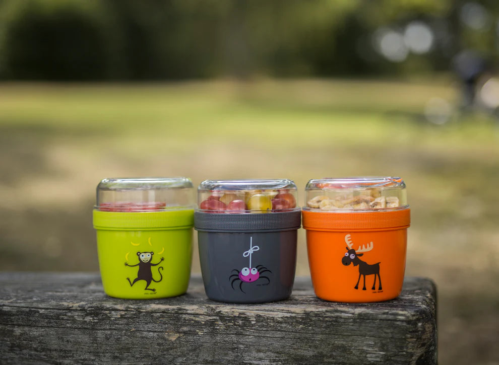 TERMO TEMP LUNCHJAR™ 300ml