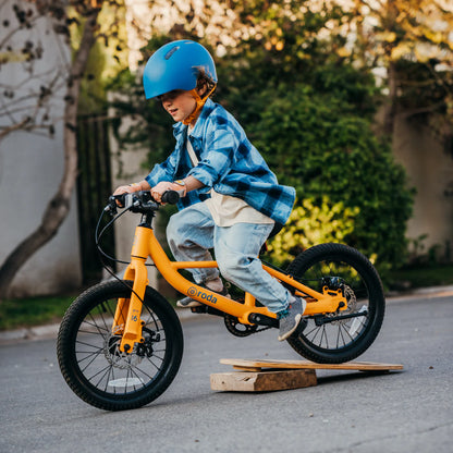 Bicicleta Roda Pro Series Aro 16