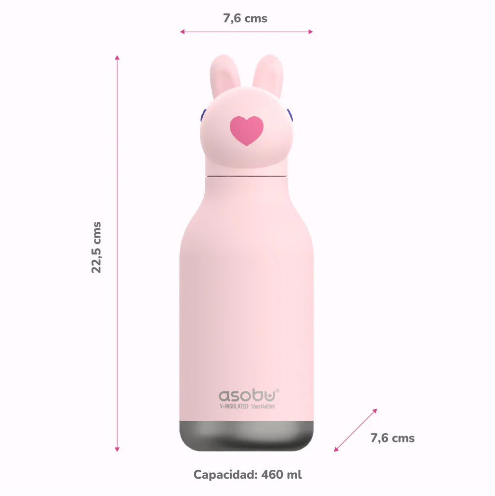 Botella Rabbit