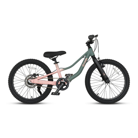 Bicicleta Roda Pro Series Aro 20 Sport