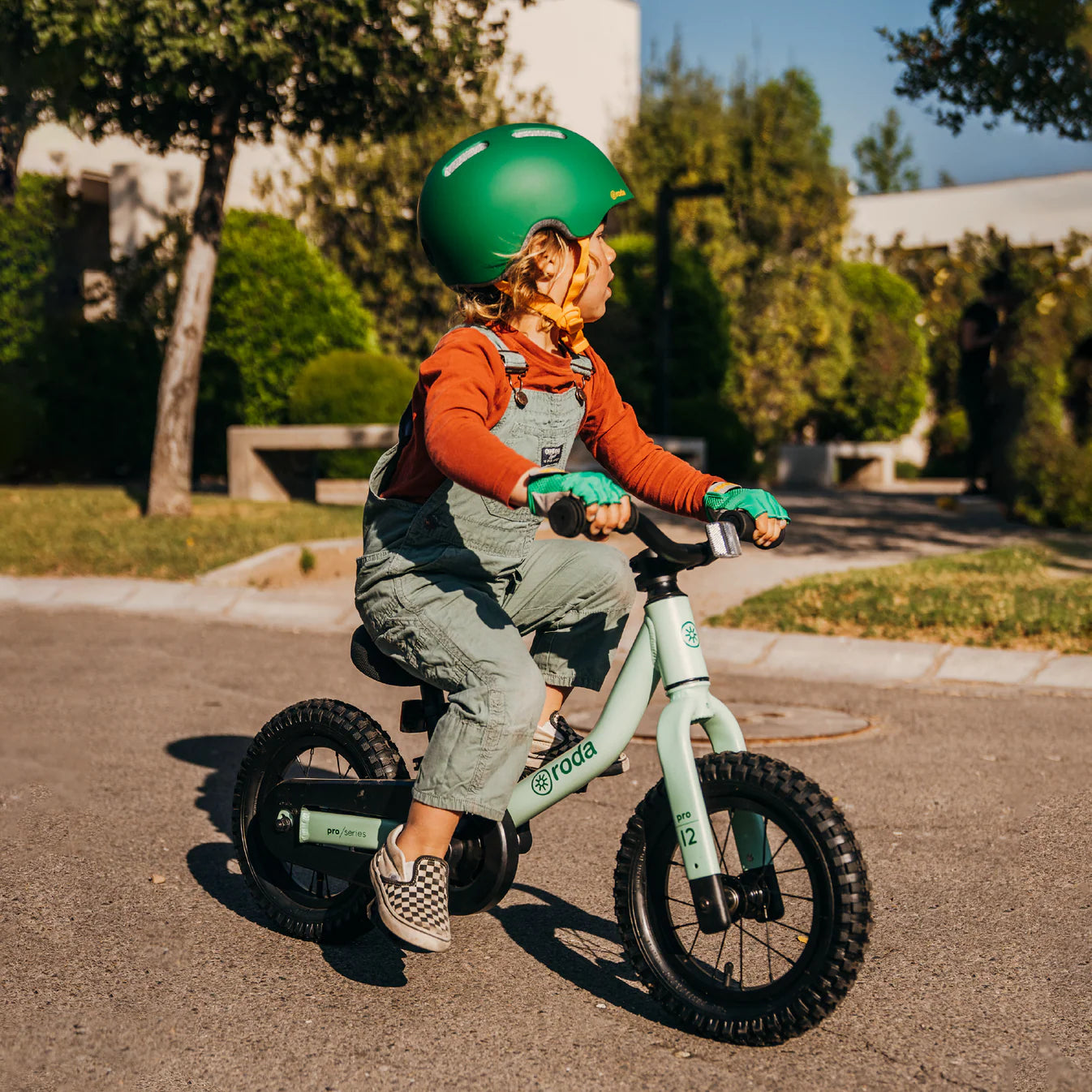 Bicicleta Roda Pro Series Aro 12