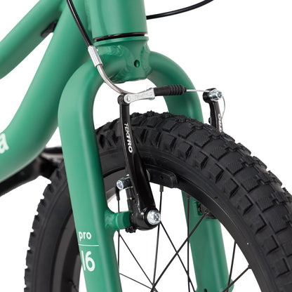 Bicicleta Roda Pro Series Aro 16