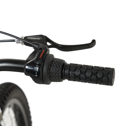 Bicicleta Roda Pro Series Aro 20 Sport