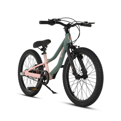 Bicicleta Roda Pro Series Aro 20 Sport