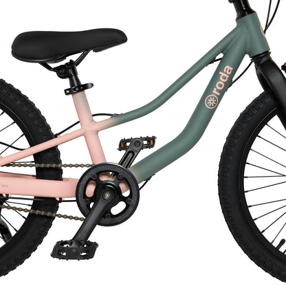 Bicicleta Roda Pro Series Aro 20 Sport
