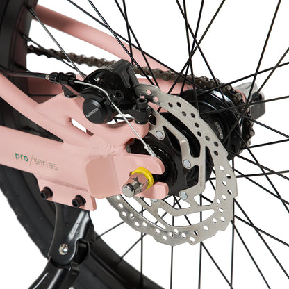 Bicicleta Roda Pro Series Aro 20 Sport